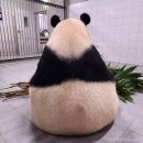 소바정원 네이버블로그