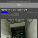 쿠팡갤러리의 일상 이미지