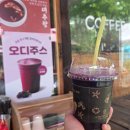 오디가개 | 부안 여행 ② | 내소사 대웅보전 오디주스 · 곰소염전 · 슬지제빵소 소금찐빵 후기