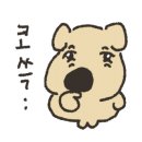 코롱상회 이미지