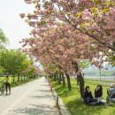 미사경정공원 이미지