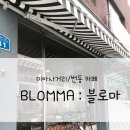 블로마 이미지