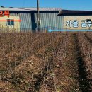 한림농원 이미지