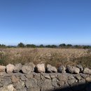 오롯한집 이미지