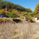 서윤농원