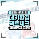 푸른환경측정