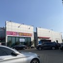 조은영풍