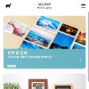 셀피스타일