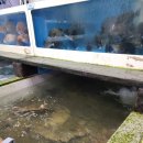 서경삼거리 이미지