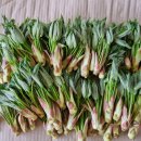 훈 농장 이미지