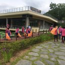 한국클린방역 시사코리아저널