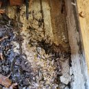 영산(창원) 이미지