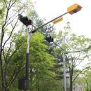 주정차단속-123 이미지