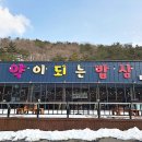 (주)약이되는밥상 이미지