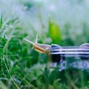 가은축산 이미지