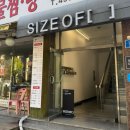 광진 | 인체공학의자 전문 사이즈오브광진점 방문 후기 착석감, 디자인, 가격 리뷰