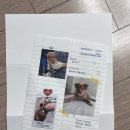 건강관리 필요 반려견을 위한 강아지 화식 도거박스 샘플팩 후기