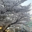 (주)그레이스 | 나의 육각형 베뉴 <그레이스 파티 신림>_D-332