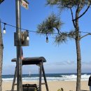 비비큐대이점 | 삼척 힐링여행 : 환선굴, 일미담 식당, 삼척 쏠비치 추천