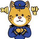 성님칼국수 이미지
