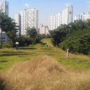 월성박씨종중묘역 이미지