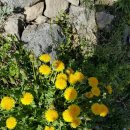 노량민박 이미지