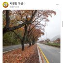 추억의사랑방
