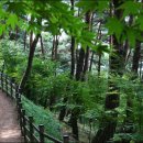 야생화단지 이미지