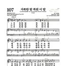 새찬송가 107장 - 거룩한 밤 복된 이 밤 이미지