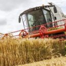 극한의 날씨로 유럽 곡물 생산량 6％ 감소//스페인 발렌시아에서 11,000 헥타르의 농작물에 피해를 입히며, 4,700만 유로(5,800만 달러)의 피해를 입힙니다. 이미지