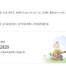 보금자리요양원 입소안내 이미지