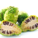 노니 필라테스 이미지