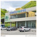 꿈마을작은도서관 | 밀양 도래재자연휴양림 휴양관 A동 204호 후기, 숲속 힐링 제대로네