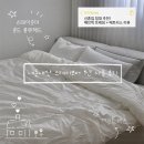 T-1 | 스테이모어 룬드 1년 사용 후기｜T 매트리스 리뷰·신혼집 침대 추천