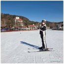 용평리조트 | 용평리조트 렌탈샵 리프트권 구입 뽀드득 이용후기