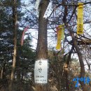 용산-244 이미지