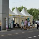 뽑기놀이터 | 잠수교 뚜벅뚜벅축제 과자뽑기 예약 주차 찐 후기 + 푸드트럭