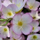 선제농약사 이미지