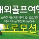 자유투어닷컴 이미지