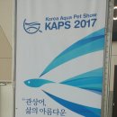 (주)밀레펫 | 제 3회 관상어 박람회 관람후기!