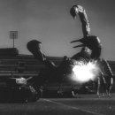 더블랙(The Black) 이미지