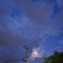 와 싸다 장터 이미지