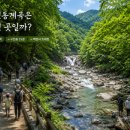 일사대 | (계곡여행)무주 구천동계곡 가족여행｜주차·물놀이·어사길 총정리