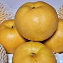 모실농장 이미지