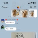 댕스얼랏 이미지