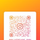 (주)레벨나인 | 블루피스 프리다이빙 데이쌤 대구 프리다이빙 1레벨 강습 후기!