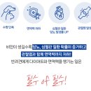 멍냥펀치 이미지