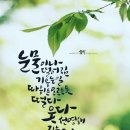 감성가득 캘리그라피 이미지