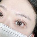 드샵 | [공지] 속눈썹연장 유지력 갑💡 동탄 '드샵' 방문 후기! (2주 무료 리터치)