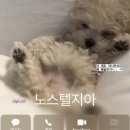 선재주유소 이미지